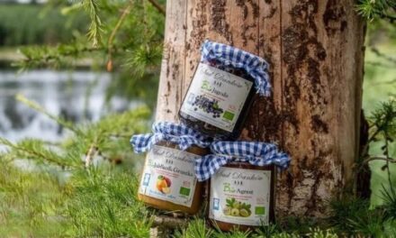 Păreri OrganicsFood.ro: Secretul unei Vieți Sănătoase și Echilibrate