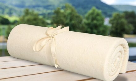 Ce Înseamnă o Saltea din Materiale Organice? La Ce Să Fi Atent. SALTELE Bio Naturale RECOMANDATE